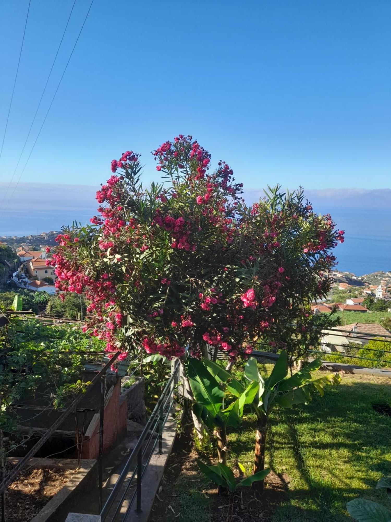 Vila Casa-Albatros Ponta do Sol  Exteriér fotografie